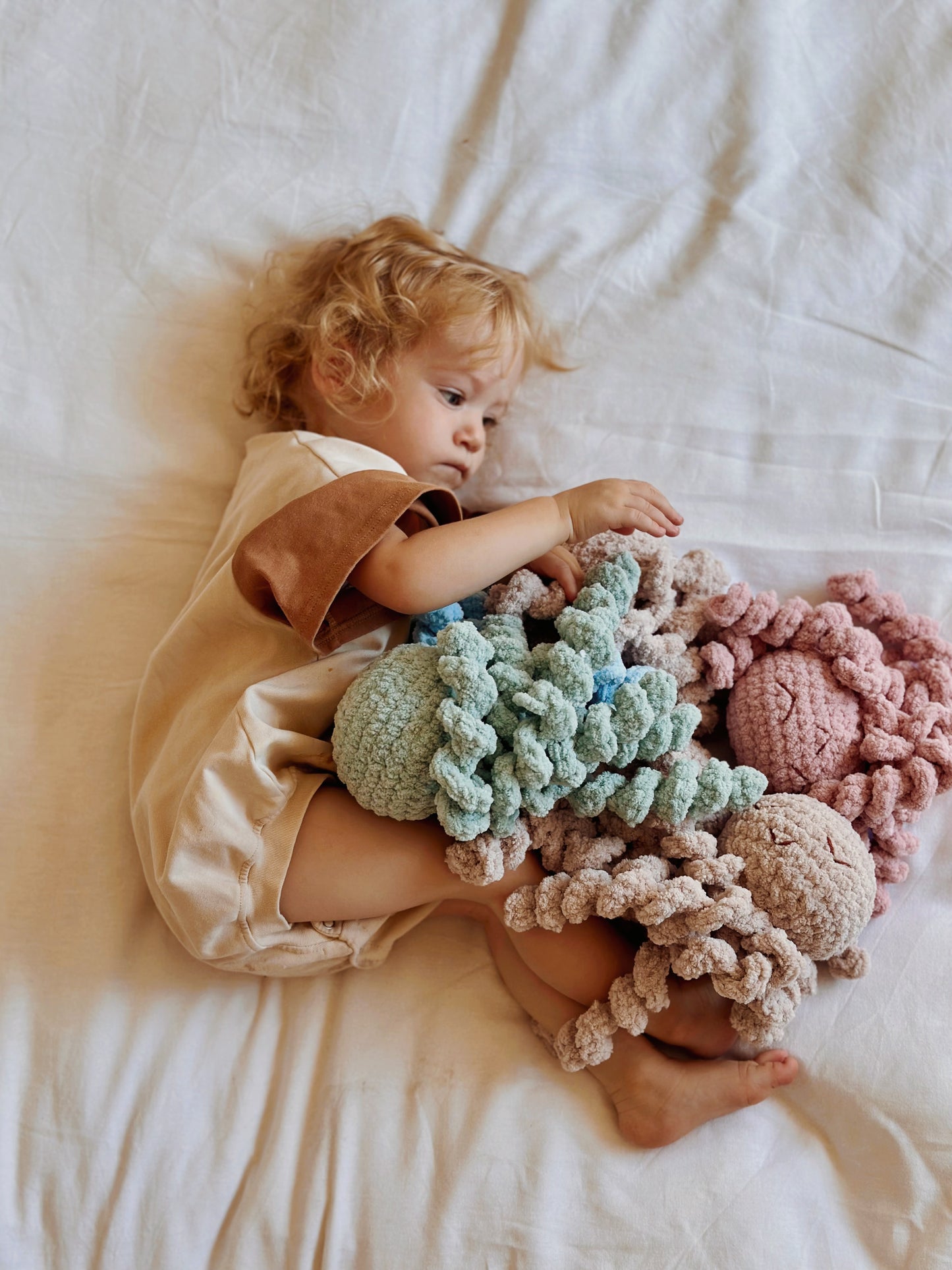 Ollie The Calming Octopus