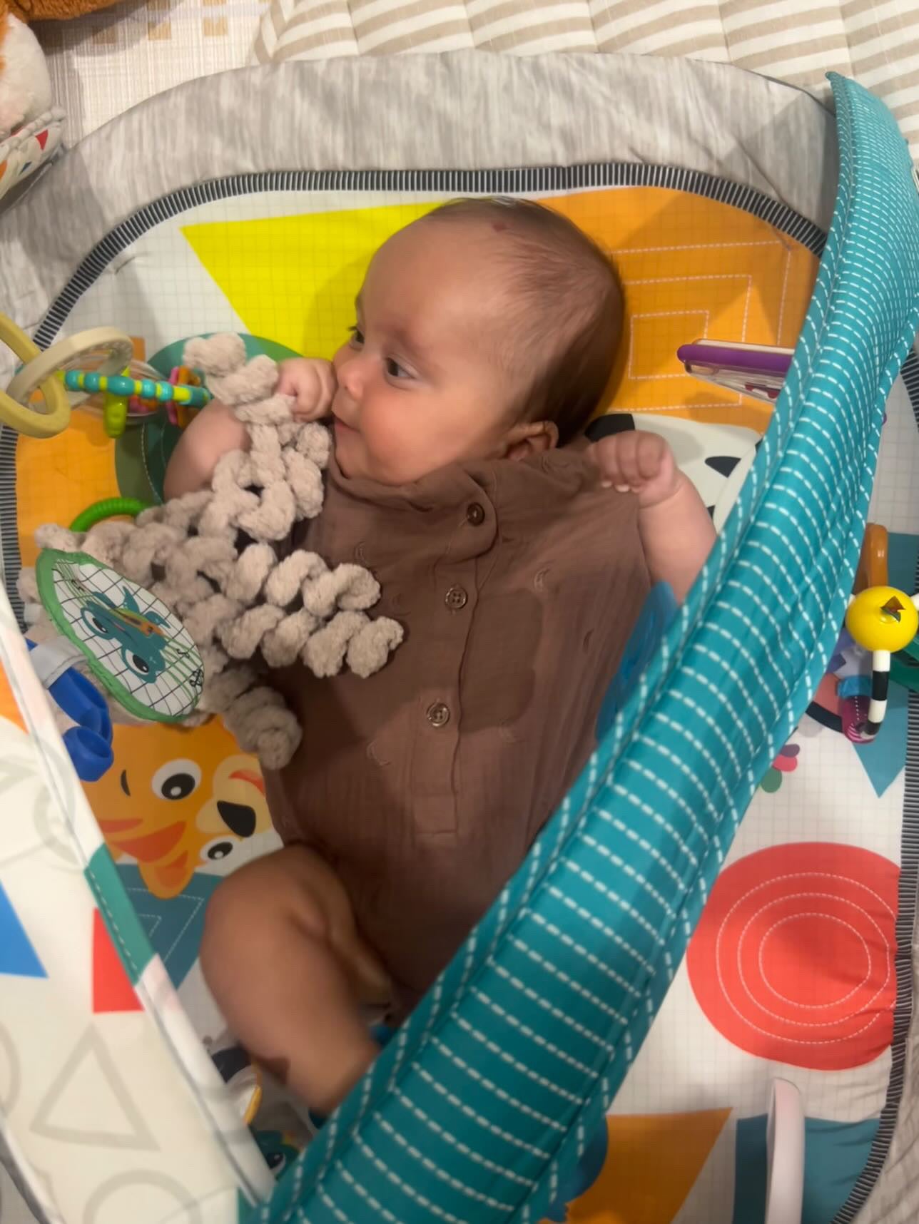 Ollie The Calming Octopus