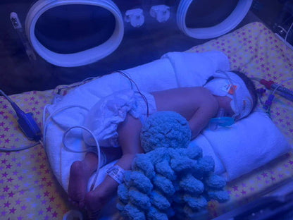 Limited Edition Mini Ollie the NICU Octopus