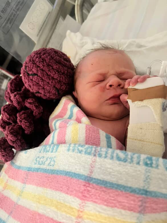Limited Edition Mini Ollie the NICU Octopus