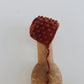 Bobble Bonnet